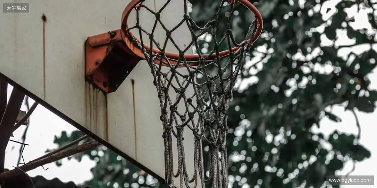 🏀✨ 巅峰对决,热血沸腾!